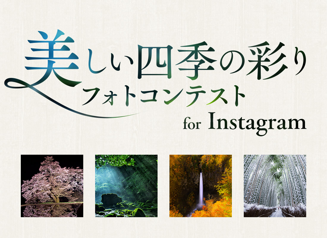 ひかりｔｖクラウドｃ 東京カメラ部 美しい四季の彩りフォトコンテスト For Instagram